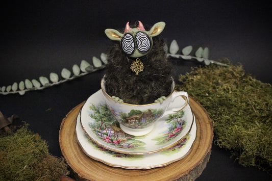 Oakley the Teacup Critter