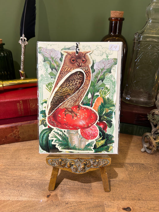 BOOKMARK GREETINGS CARD | WISE OWL