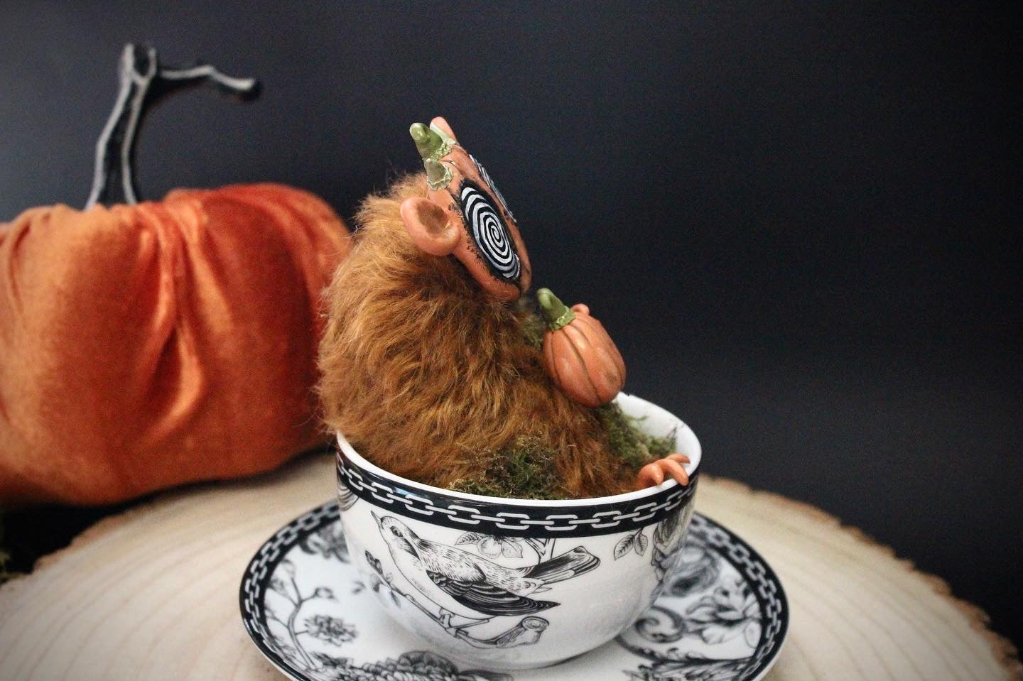 Pumpkin Pie The Teacup Critter