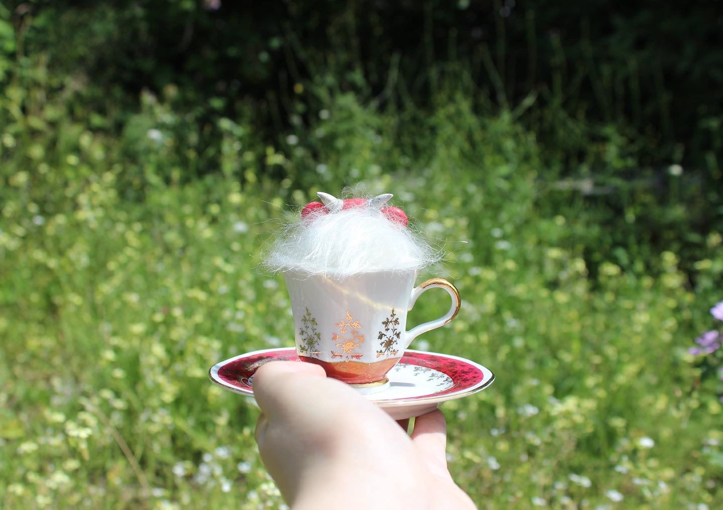Edgar the Teacup Critter