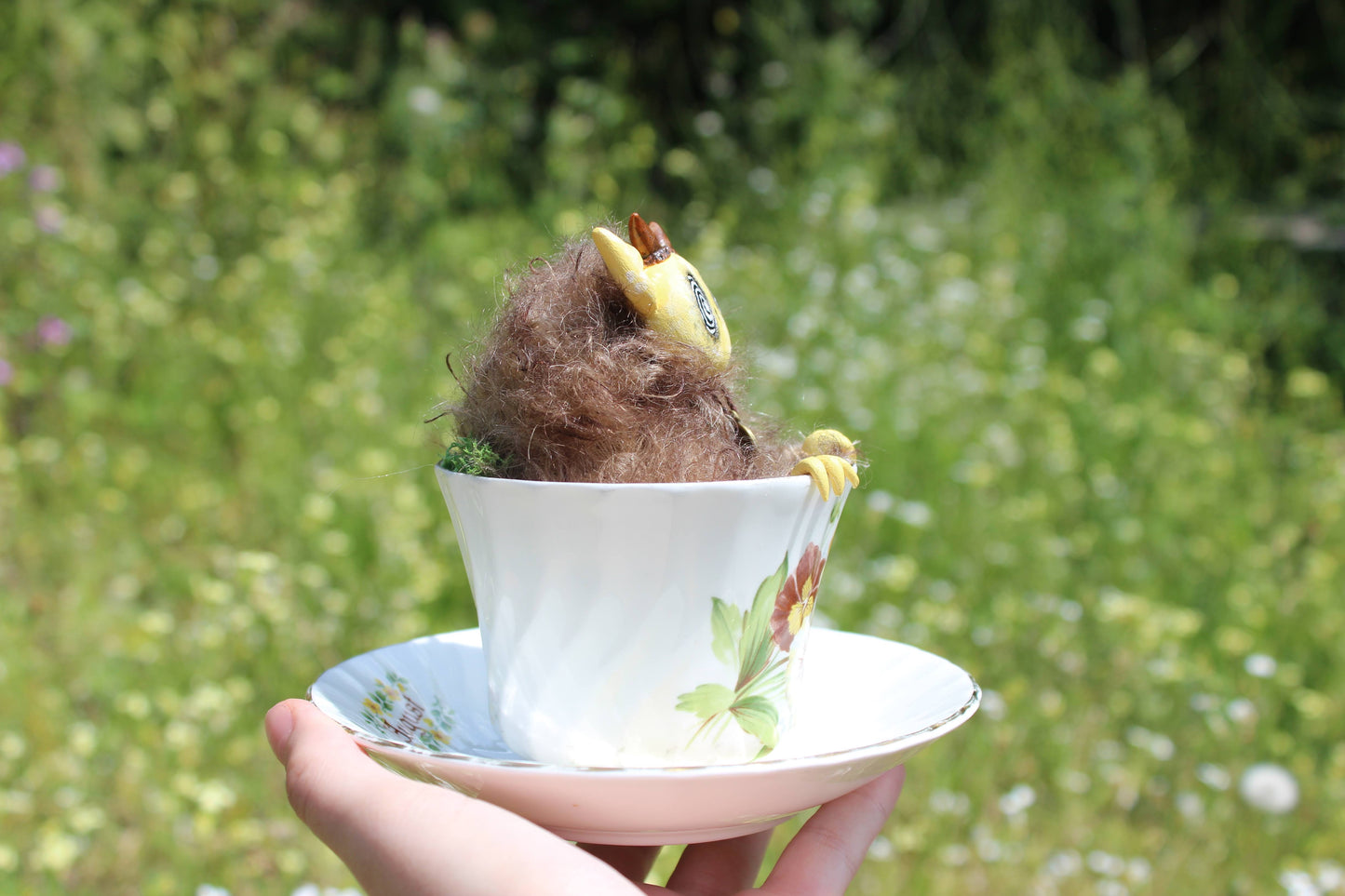 August the Teacup Critter